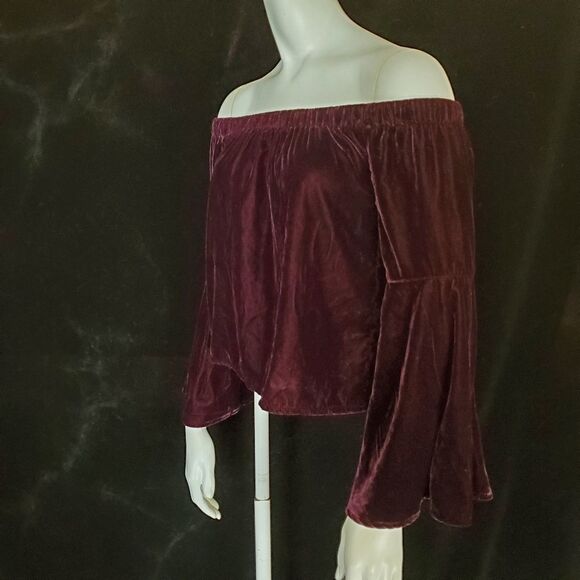 Hollister Dark Purple Velvet Blouse (XS) - Picture 1 of 5